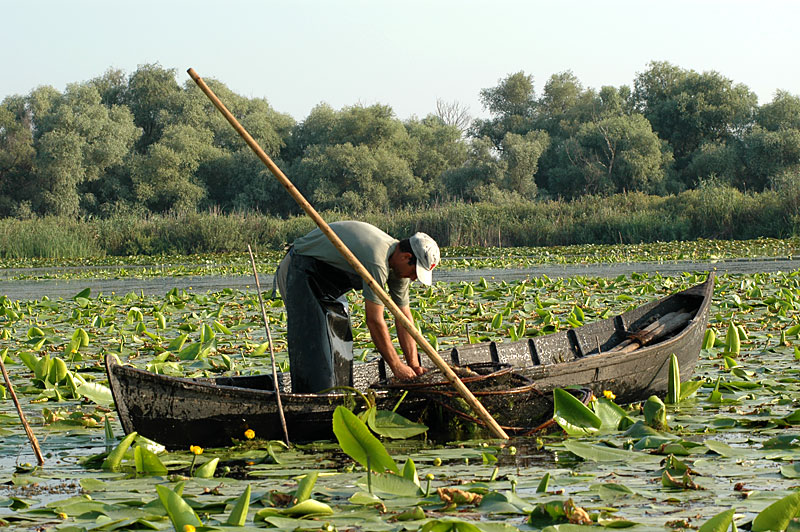 Bateau sur delta du Danube en Roumanie