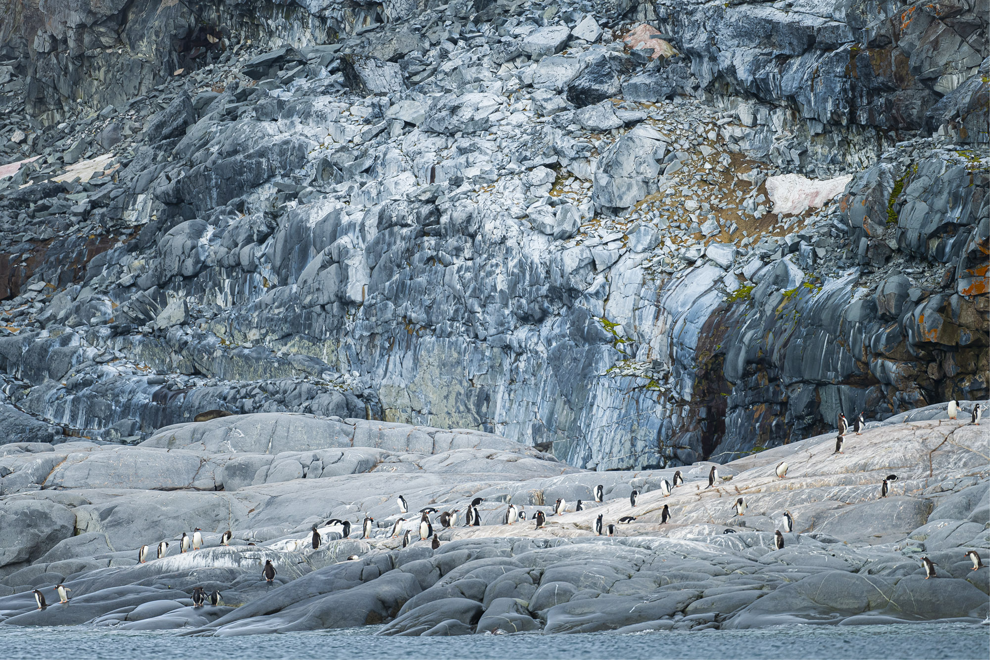 Manchots au pied d'un glacier en Antarctique