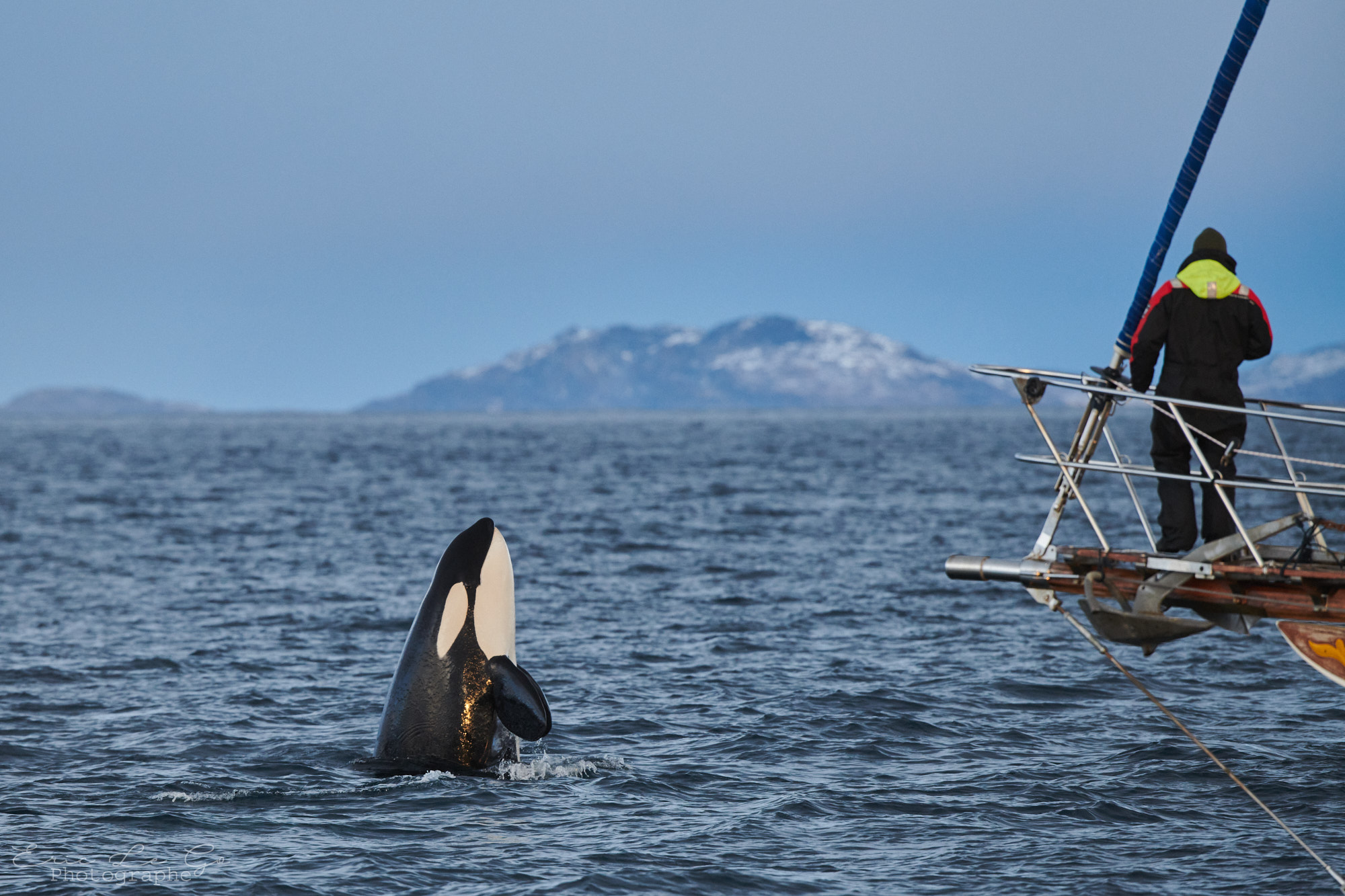 Orque à côté d'un bateau lors d'un voyage photo en Norvège