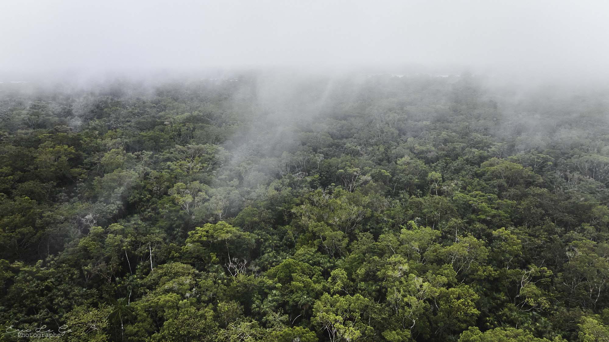 Brume qui se dégage de la forêt en Equateur