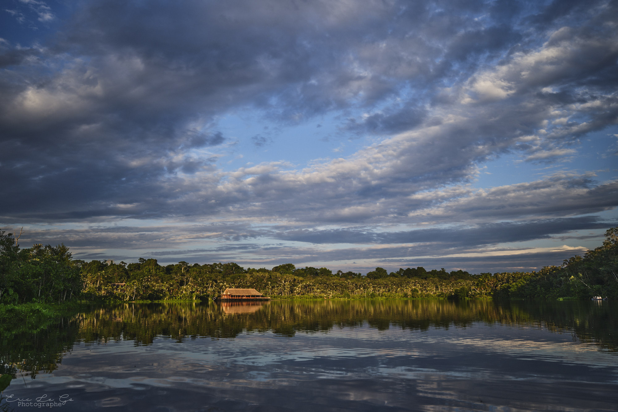 Vue sur la forêt équatoriale depuis le fleuve