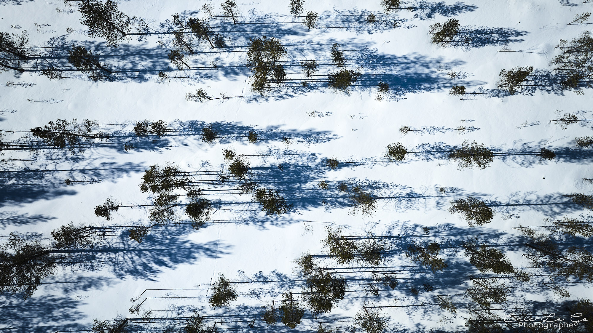 Vue du ciel sur la forêt finlandaise