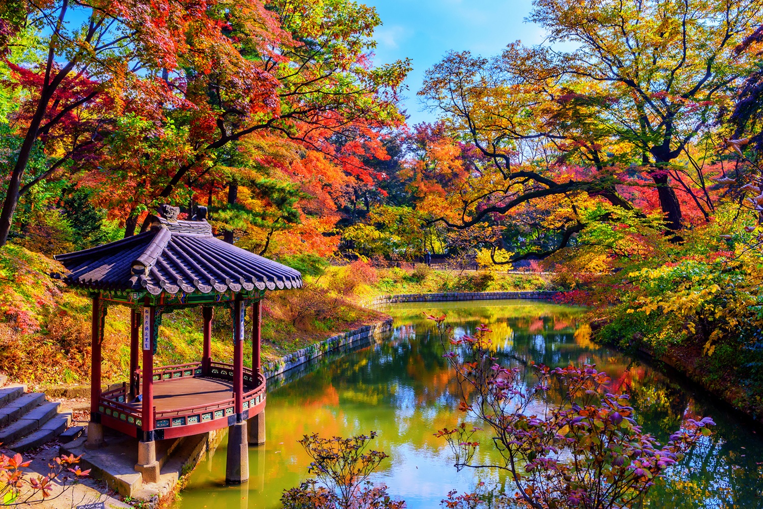 Jardin secret aux couleurs de l'automne en Corée du Sud