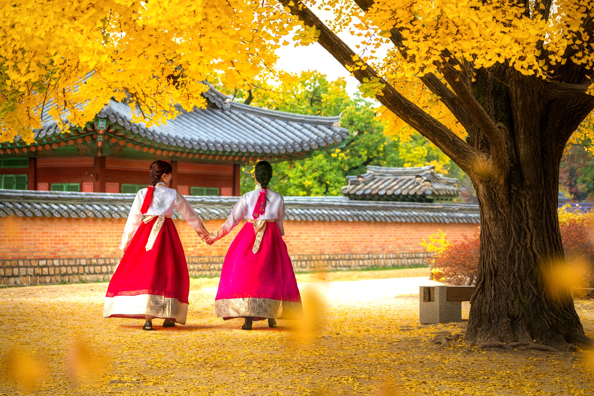 Deux femmes de dos en tenue Hanbok devant un temple en Corée du Sud