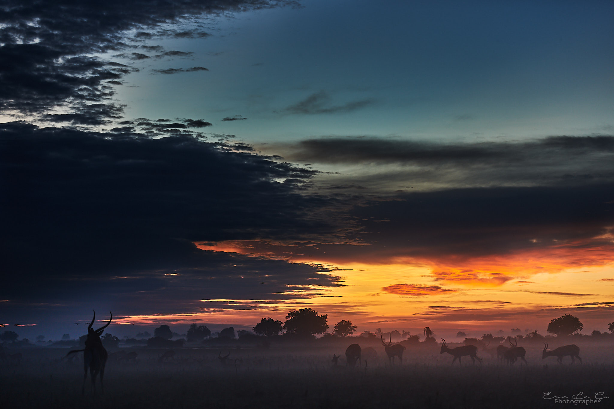 Coucher de soleil sur la savane au Botswana