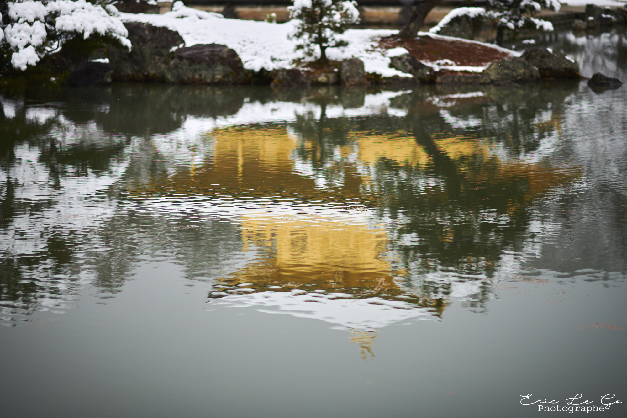 Paysage enneigé d'Hokkaido