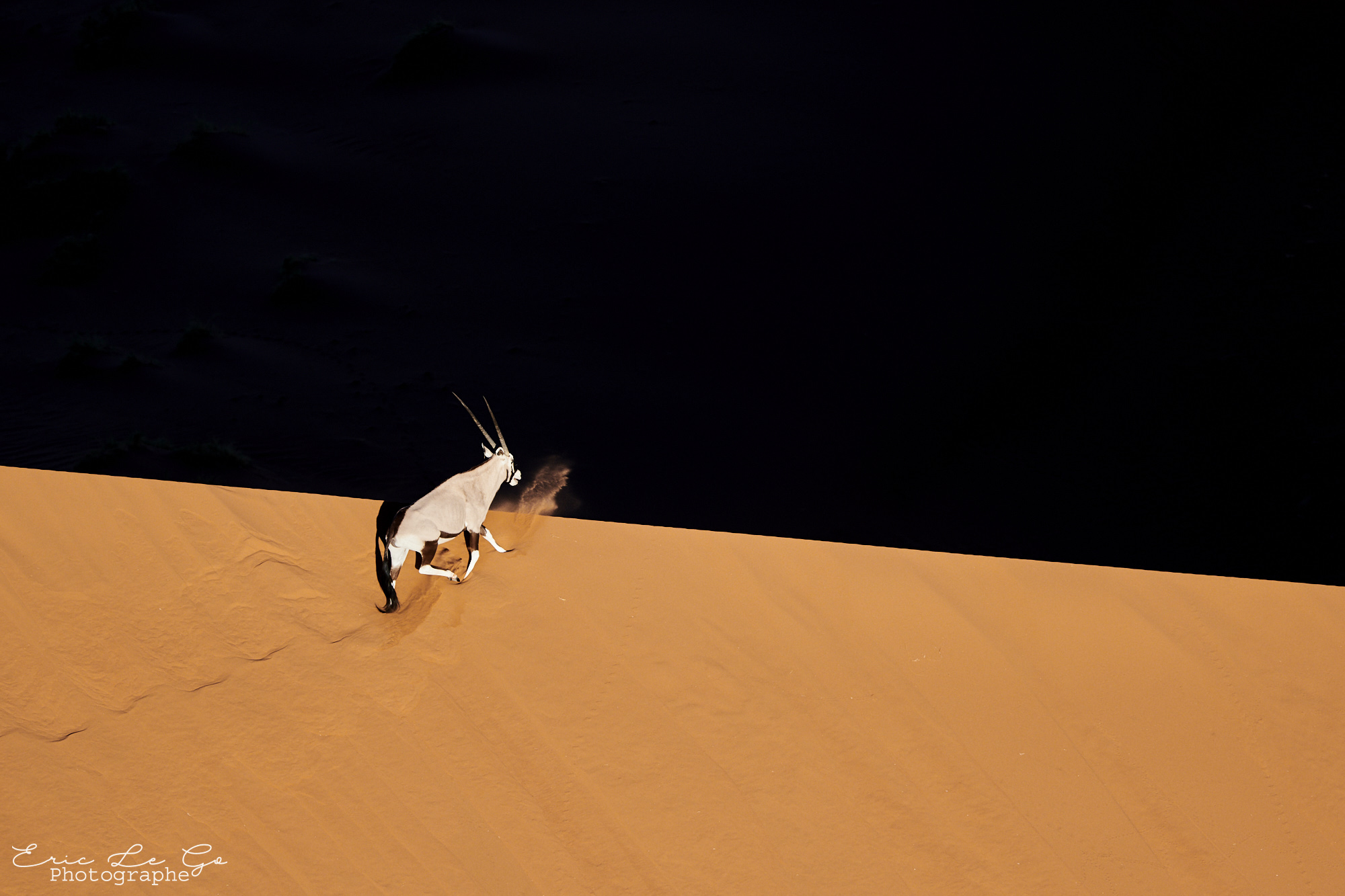 Oryx traversant une dune en Namibie