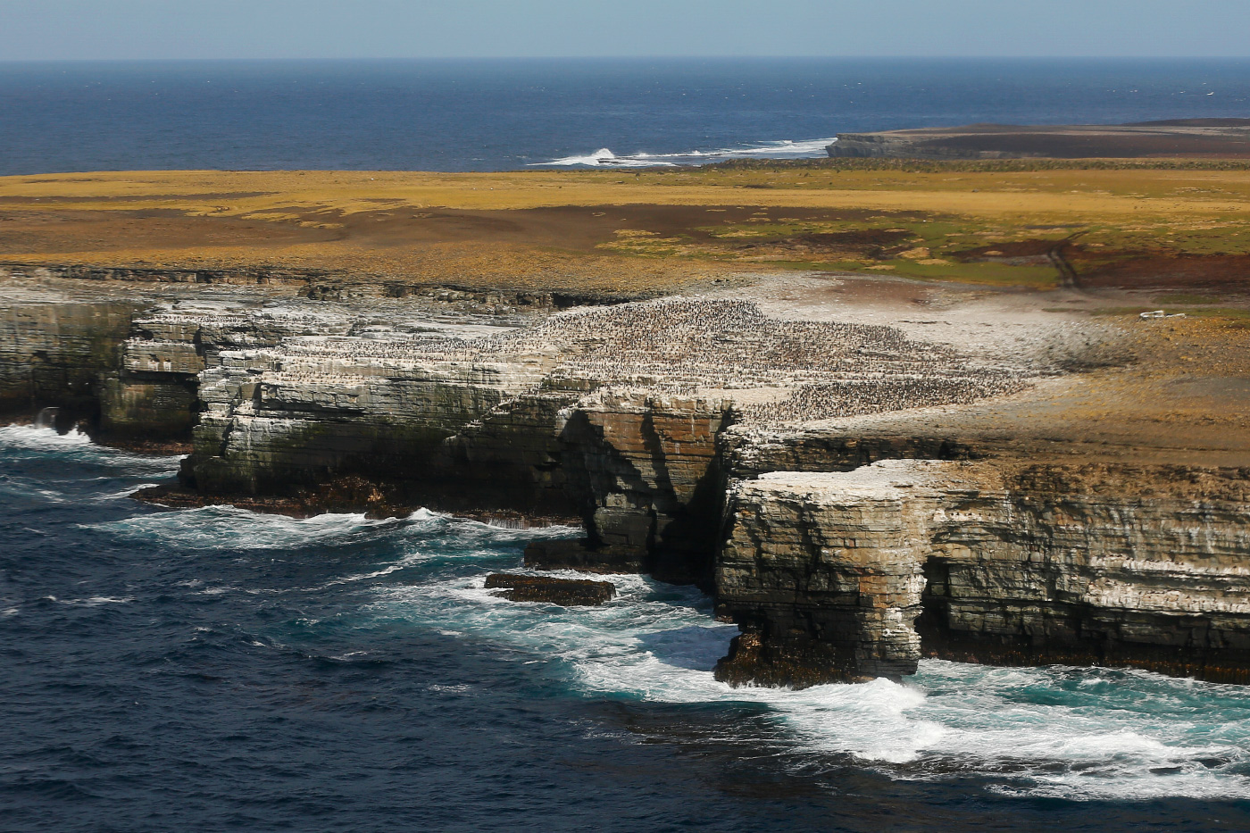 Vue sur les falaises aux îles Falkland