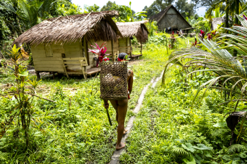 Maisons traditionnelles des Mentawai