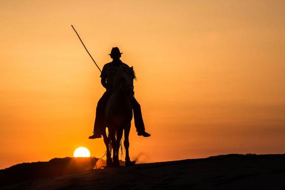 Voyages et stages photo en Camargue 51