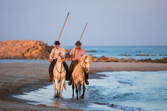 Voyages et stages photo en Camargue 64