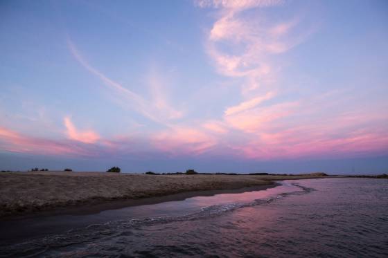 Voyages et stages photo en Camargue 63