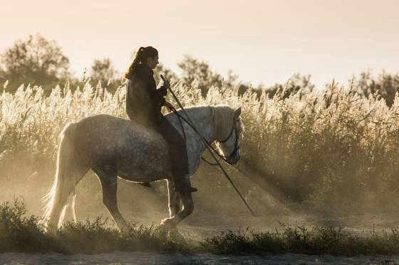 Voyages et stages photo en Camargue 65