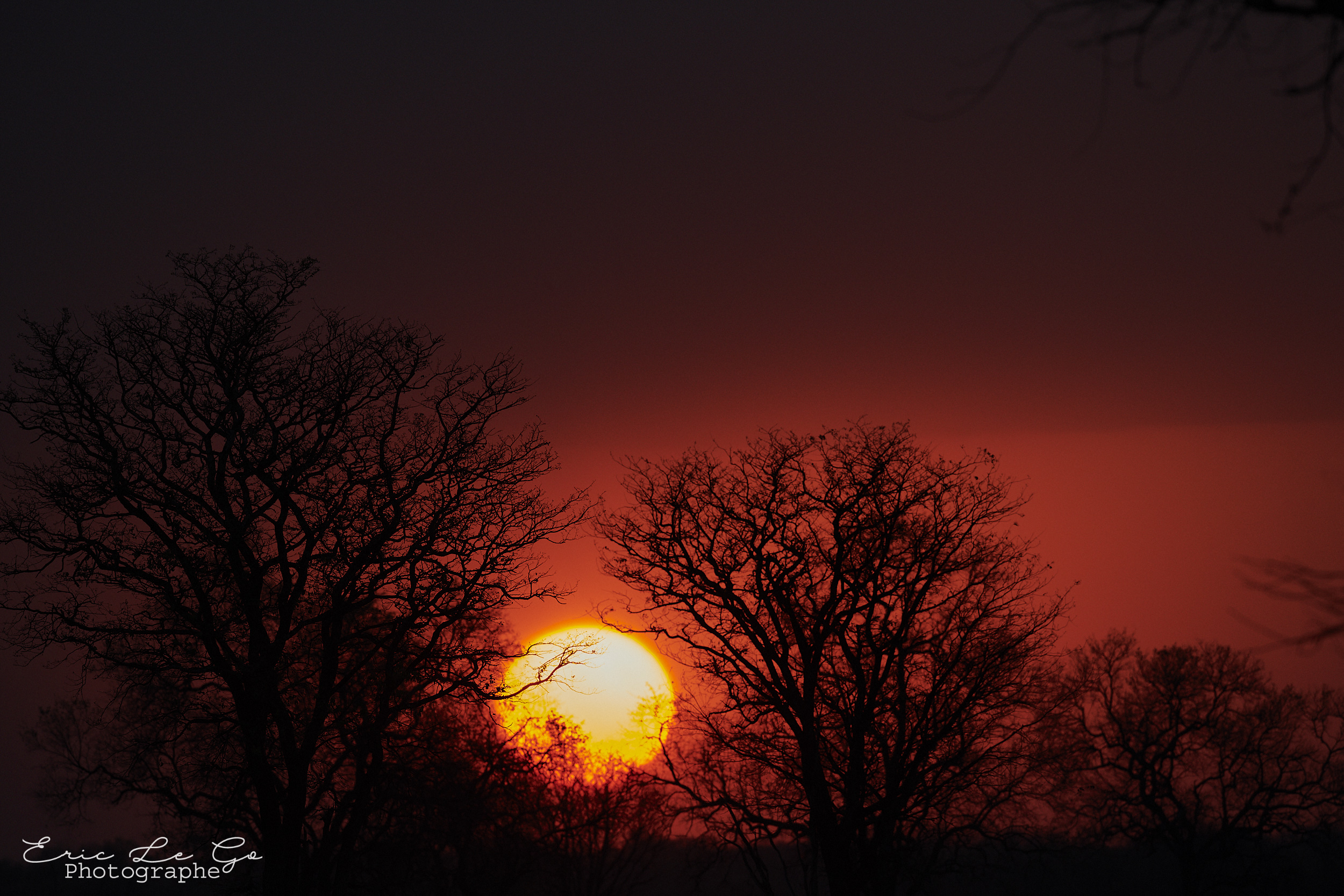 Coucher de soleil sur la savane Zambienne lors d'un séjour photo